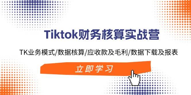 Tiktok财务核算实战营：TK业务模式/数据核算/应收款及毛利/数据下载及报表-云起副业网