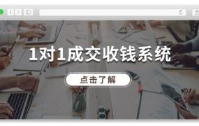 1对1成交 收钱系统,十年专注于引流和成交,全网130万+粉丝-云起副业网