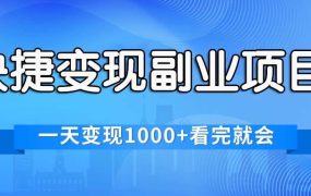 快捷变现的副业项目,一天变现1000+,各平台最火赛道,看完就会-云起副业网