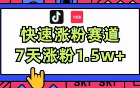 涨粉超快蓝海赛道!轻松伪原创,7天涨粉1.5w+-云起副业网