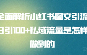 全面解析小红书图文引流日引100私域流量是怎样做到的-云起副业网