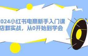 2024小红书电商新手入门课,店群实战,从0开始到学会(31节)-云起副业网