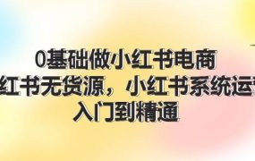 0基础做小红书电商,小红书无货源,小红书系统运营,入门到精通 (70节)-云起副业网