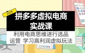 拼多多虚拟电商实战课:虚拟资源选品+运营,高利润虚拟玩法(更新14节)-云起副业网