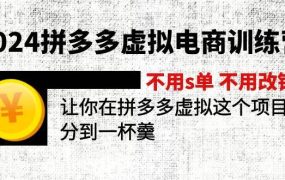 2024拼多多虚拟电商训练营 不s单 不改销量  做虚拟项目分一杯羹(更新10节)-云起副业网