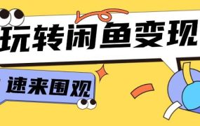 从0到1系统玩转闲鱼变现,教你核心选品思维,提升产品曝光及转化率-15节-云起副业网