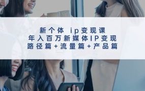 新个体 ip变现课，年入百万新媒体IP变现，路径篇+流量篇+产品篇-云起副业网