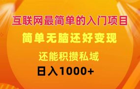 互联网最简单的入门项目:简单无脑变现还能积攒私域一天轻松1000+-云起副业网
