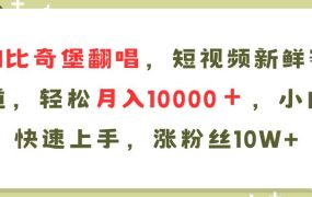AI比奇堡翻唱歌曲，短视频新鲜赛道，轻松月入10000＋，小白快速上手，...-云起副业网