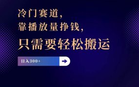 冷门赛道,靠播放量挣钱,只需要轻松搬运,日赚300+-云起副业网