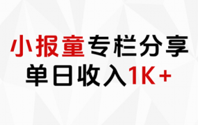 小报童专栏分享,当日收入1K+-云起副业网