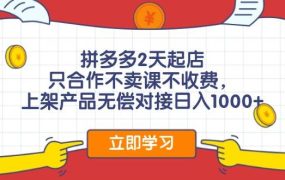 拼多多2天起店,只合作不卖课不收费,上架产品无偿对接日入1000+-云起副业网