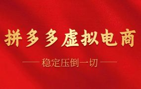 拼多多虚拟电商,单人操作10家店,单店日盈利100+-云起副业网