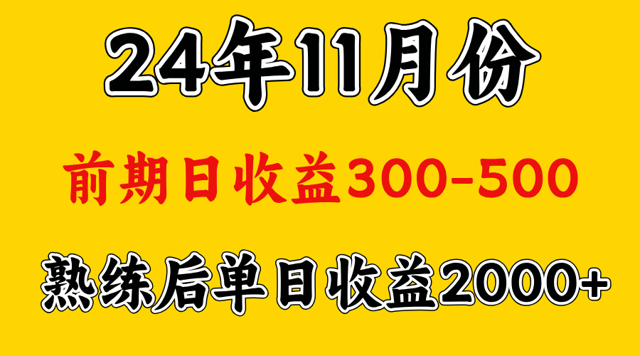 轻资产项目，前期日收益500左右，后期日收益1500-2000左右，多劳多得-云起副业网