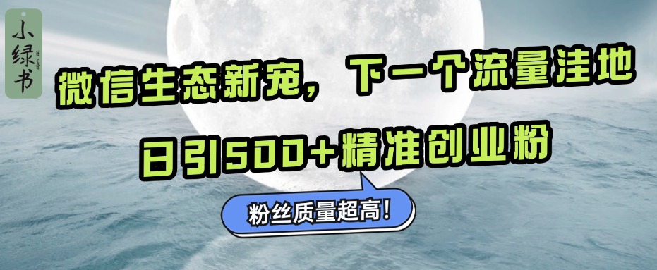 微信生态新宠小绿书：下一个流量洼地，粉丝质量超高，日引500+精准创业粉，-云起副业网