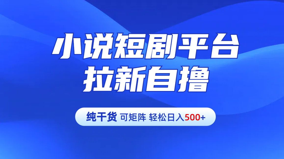 【纯干货】小说短剧平台拉新自撸玩法详解-单人轻松日入500+-云起副业网