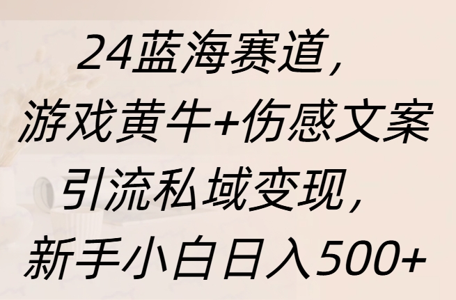 24蓝海赛道，游戏黄牛+伤感文案引流私域变现，新手日入500+-云起副业网