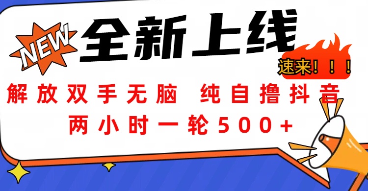 解放双手无脑 纯自撸抖音 两小时一轮500+-云起副业网