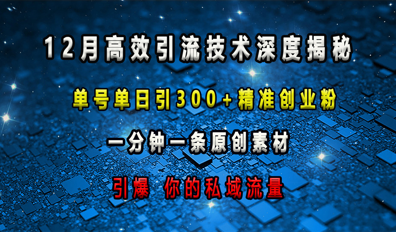 12月高效引流技术深度揭秘 ，单号单日引300+精准创业粉，一分钟一条原创素材，引爆你的私域流量-云起副业网