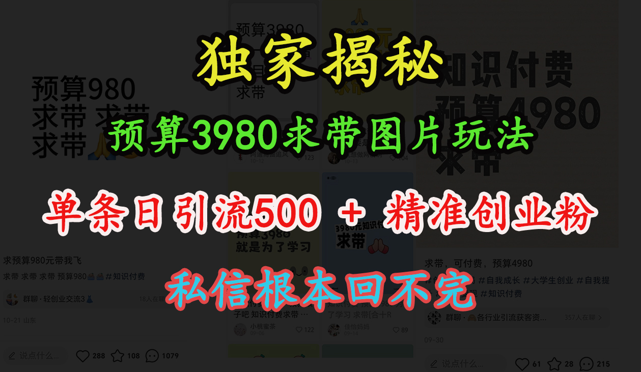 “小红书”预算3980求带 图片玩法,单条日引流500+精准创业粉,私信根本回不完-云起副业网