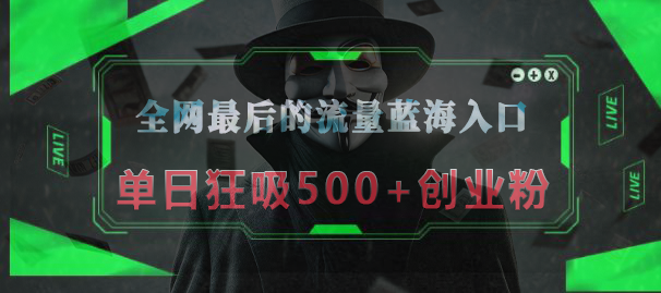 全网最后的流量蓝海入口,半小时引流50+创业粉,单日狂吸500+创业粉-云起副业网