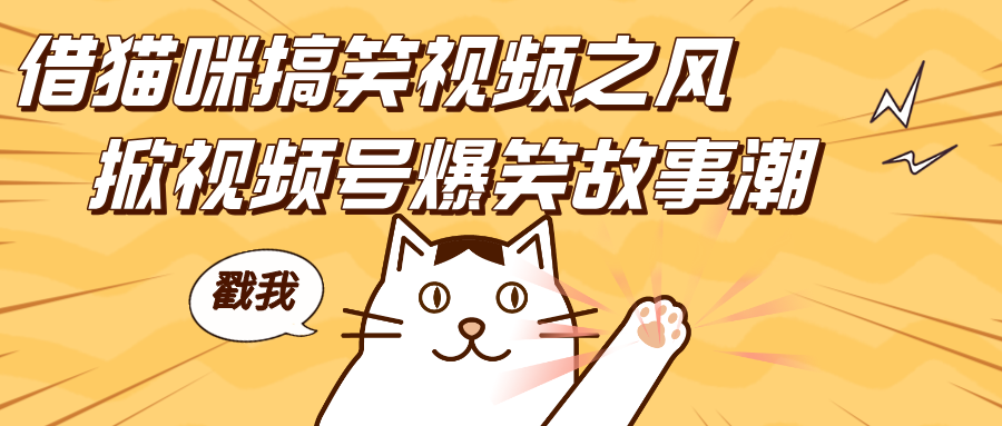 借猫咪搞笑视频之风，掀视频号爆笑故事潮，轻松日赚四位数，开启无门槛赚钱新体验！-云起副业网