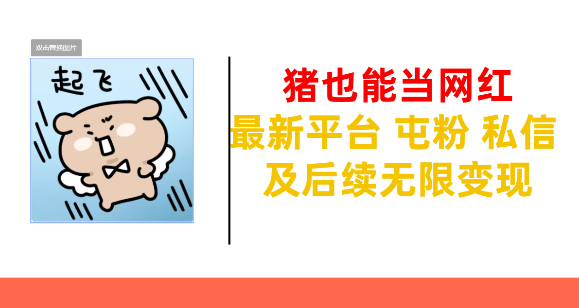 猪也能当网红-最新平台 屯粉 交流 私信 及后续无限变现-云起副业网