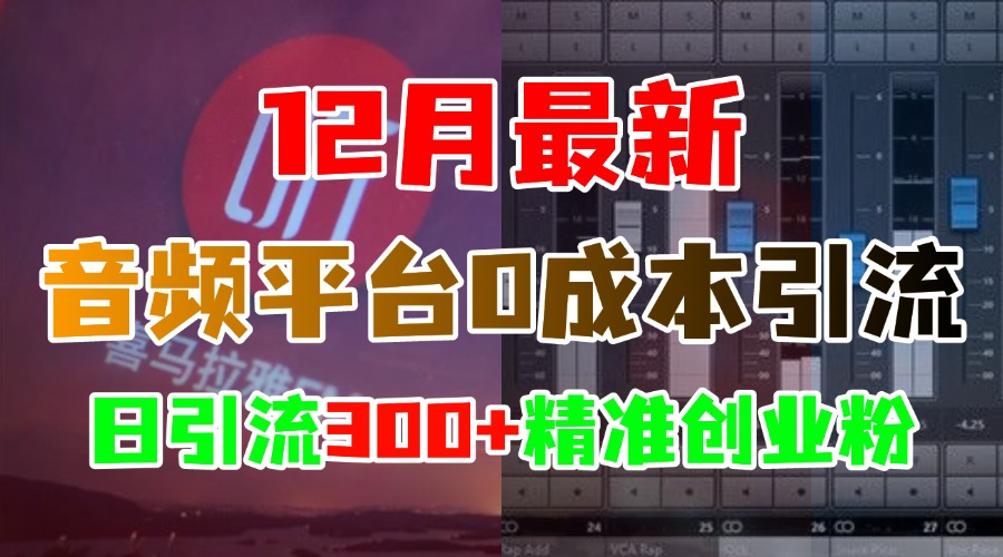 12月最新：音频平台0成本引流，日引300+精准创业粉-云起副业网