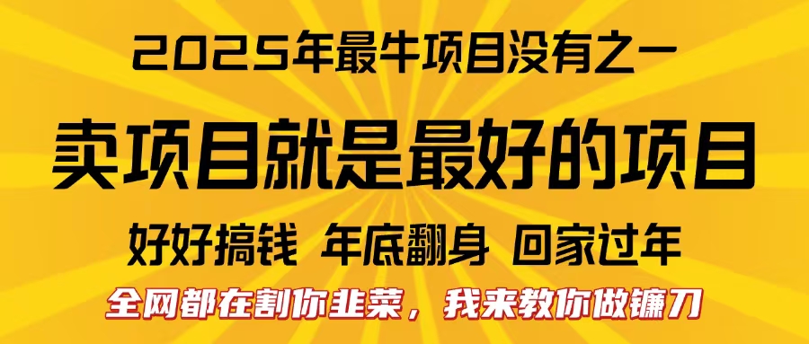 全网都在割你韭菜,我来教你做镰刀。卖项目就是最好的项目,2025年最牛互联网项目-云起副业网