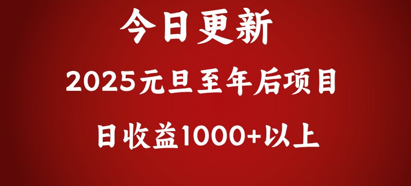 翻身项目，日收益1000+以上-云起副业网
