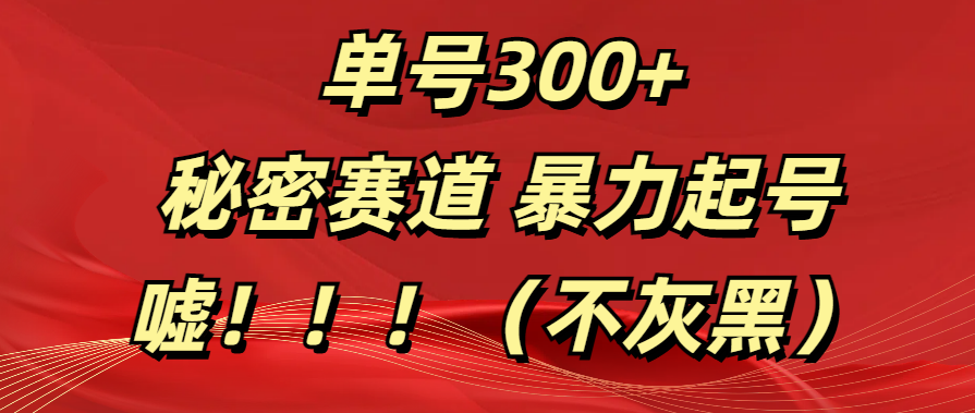 单号300+  秘密赛道 暴力起号  （不灰黑）-云起副业网