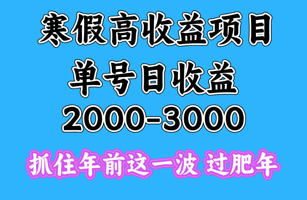 寒假期间一天收益2000-3000+，抓住年前这一波-云起副业网