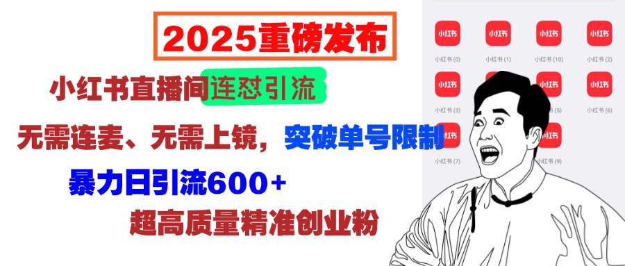 2025重磅发布：小红书直播间连怼引流，无需连麦、无需上镜，突破单号限制，暴力日引流600+超高质量精准创业粉-云起副业网