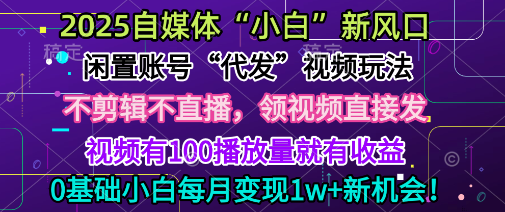 2025每月躺赚5w+新机会，闲置视频账号一键代发玩法，0粉不实名不剪辑，领了视频直接发，0基础小白也能日入300+-云起副业网