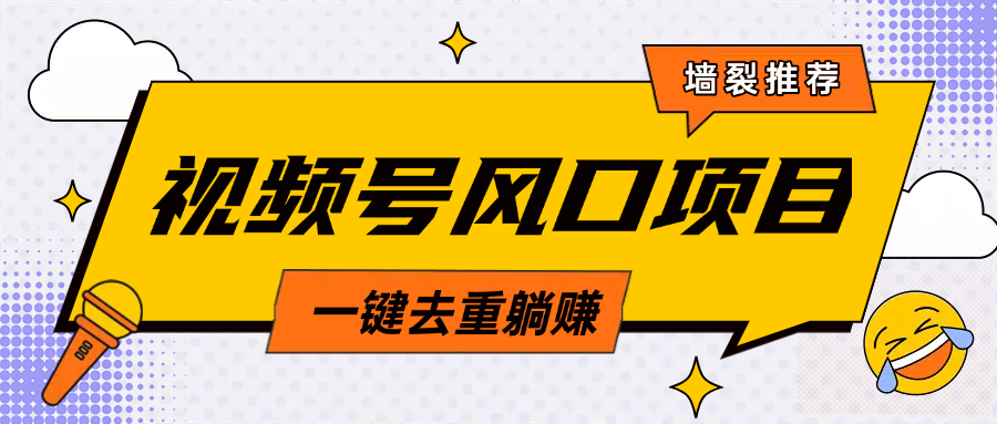视频号风口蓝海项目，中老年人的流量密码，简单无脑，一键去重，轻松月入过万-云起副业网