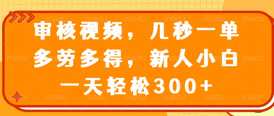 审核视频项目，几秒一单，多劳多得，新人小白一天轻松300+-云起副业网