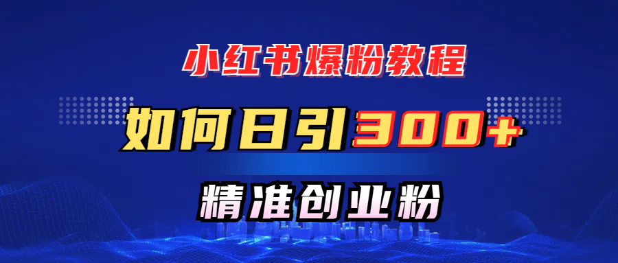 小红书爆粉教程，如何日引300+创业粉，快速实现精准变现！-云起副业网