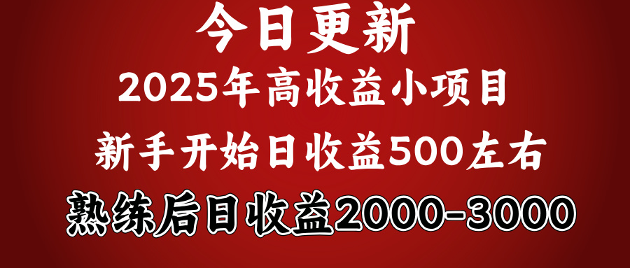 2025开年好项目，新手日收益500+ 熟练掌握后，日收益平均2000多-云起副业网