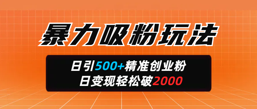 暴力吸粉玩法，日引500+精准创业粉，日变现轻松破2000-云起副业网
