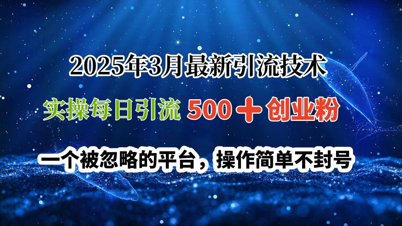 2025年3月最新引流技术，实操每日引流500➕创业粉，一个被忽略的平台，操作简单不封号-云起副业网