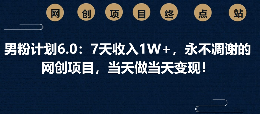 男粉计划6.0：7天收入1W+，永不凋谢的网创项目，当天做当天变现！-云起副业网