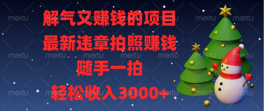 解气又赚钱的项目，最新违章拍照赚钱，随手一拍，轻松收入3000+-云起副业网