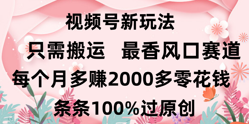 日入2000+，条条100%过原创，视频号最香风口赛道，小白轻松上手-云起副业网
