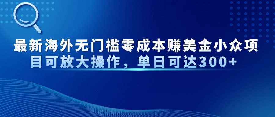 最新海外无门槛美金小众项目可放大操作，单日可达300+-云起副业网