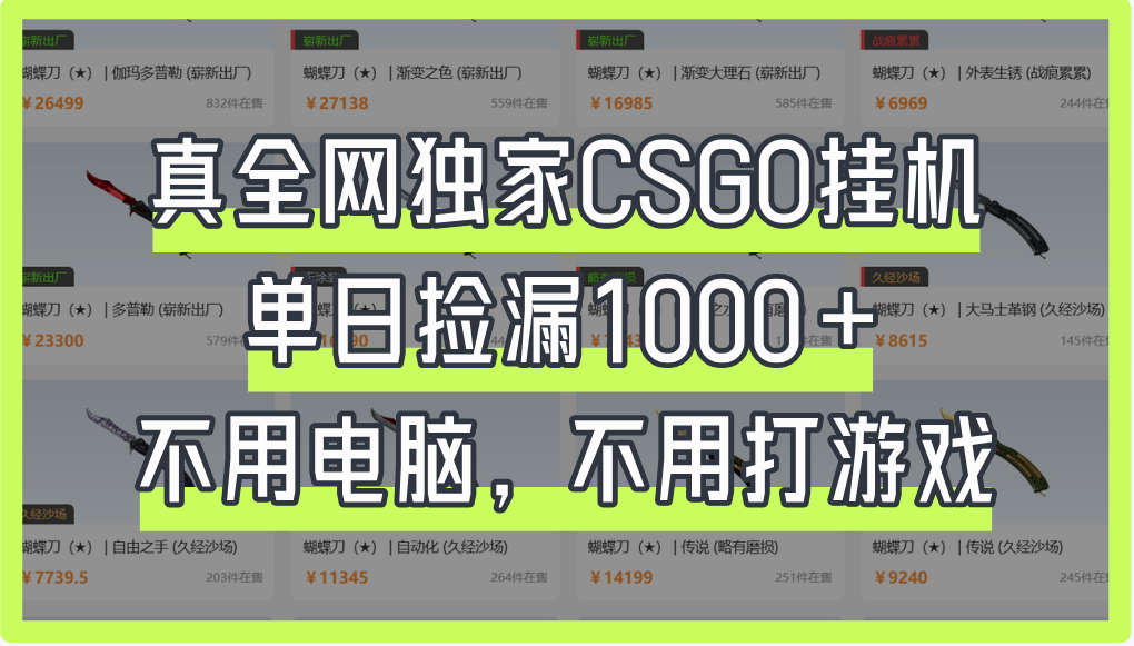 真全网独家CSGO挂机，单日捡漏1000+-云起副业网