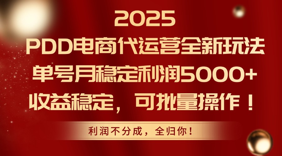 2025 PDD电商代运营全新玩法，单号月稳定利润5000+，收益稳定，可批量操作！-云起副业网