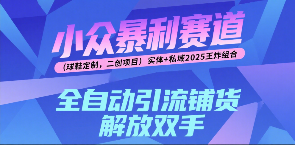 楠—小众暴利赛道（球鞋定制，二创项目）实体+私域2025王炸组合-云起副业网