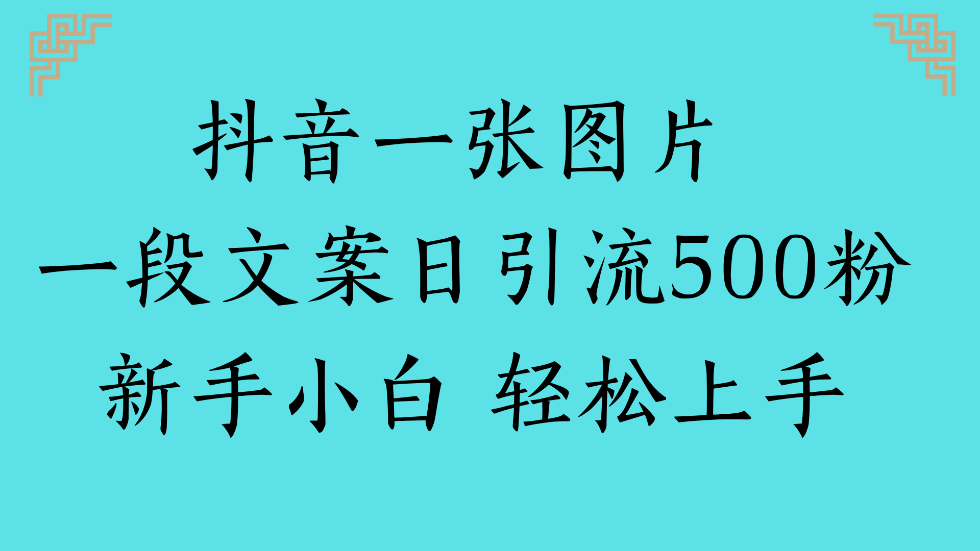 抖音一张图片 一段文案日引流500粉新手小白 轻松上手-云起副业网