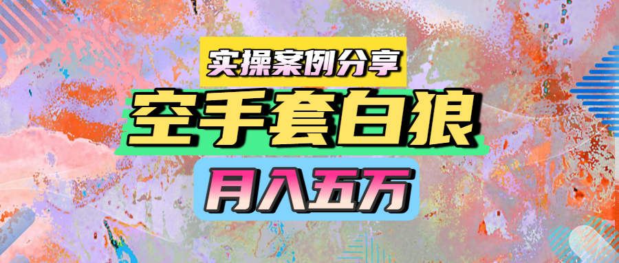 空手套白狼，月入五万，实操案例分享-云起副业网