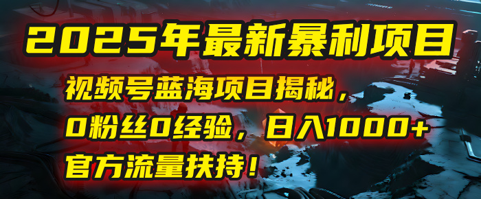 2025年最新暴利项目：视频号蓝海项目揭秘，0粉丝0经验，日入1000+，官方流量扶持！-云起副业网